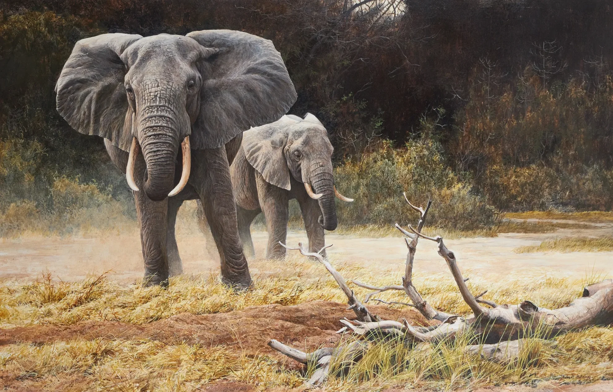 Bateman_-_Elephants_N357_2_JPEG