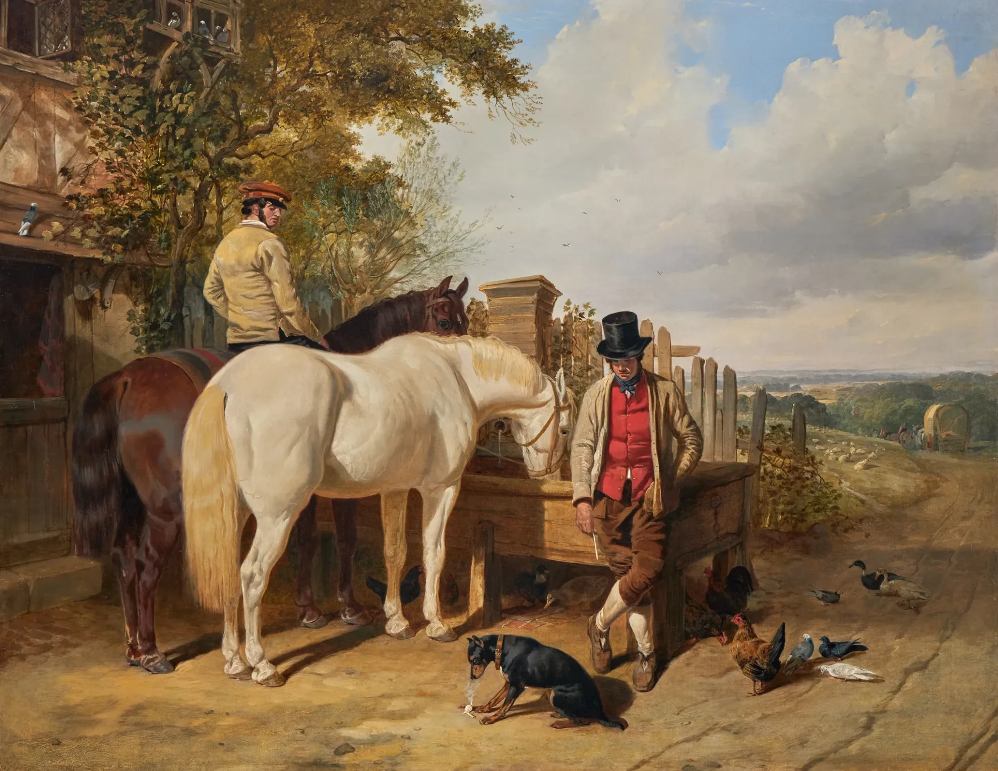 Herring_-The_broken_pipe_P331_1