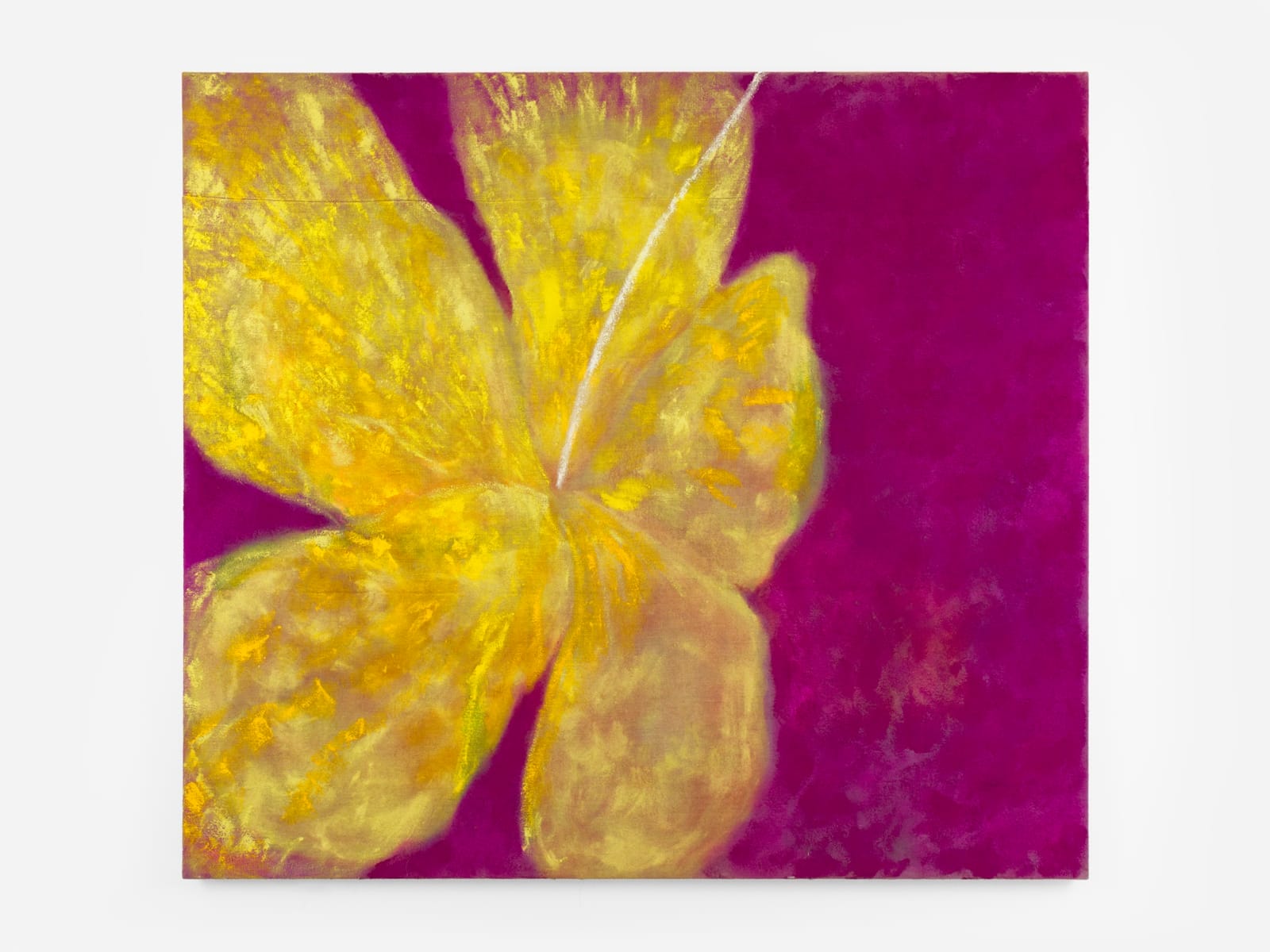 httpsslad.org_.ukwp-contentuploads201909HQ28-AB21042P_Hibiscus_Colour_Study__Yellow__P__2024_1_canonical.jpeg